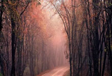 海星体育：一图看懂：《2024中国路跑工作报告》.