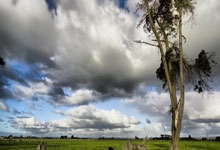 亚冬会志愿者——冰雪盛会的青春热度央视新闻客户端.