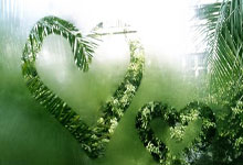 怀森:为西班牙效力是我的荣幸 荷兰球迷嘘我?我专注于比赛.